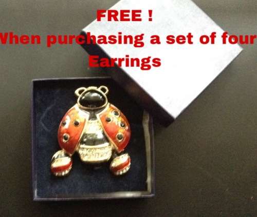 Costume jewellery set with free earrings, brooch, and 4 pairs