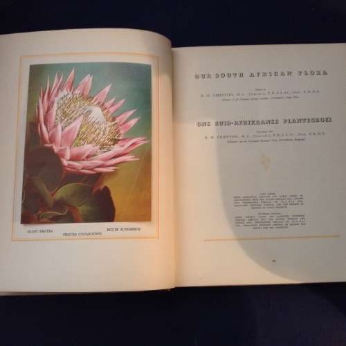 Our South African Flora, R.H. Compton Ons Suid-Afrikaanse Plantegroei