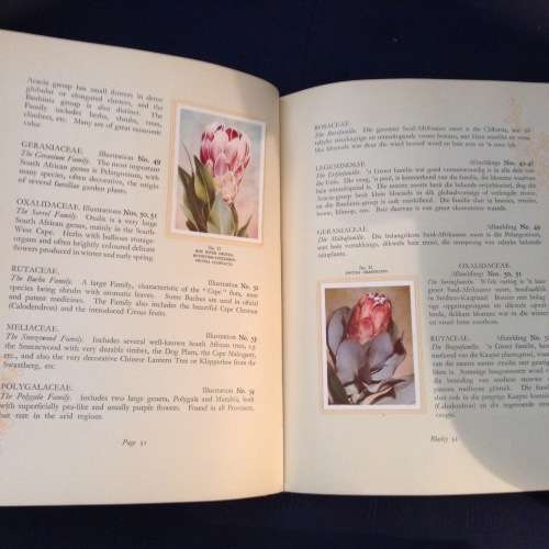 Our South African Flora, R.H. Compton Ons Suid-Afrikaanse Plantegroei