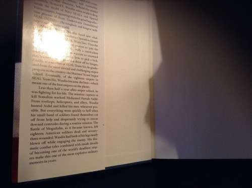 Seal Team Six Howard E Wasdin and Stephen Templin, First Edition