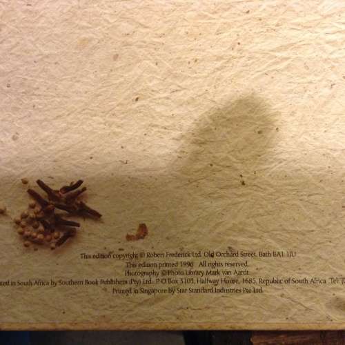 The African Collection, Eternal Diary
