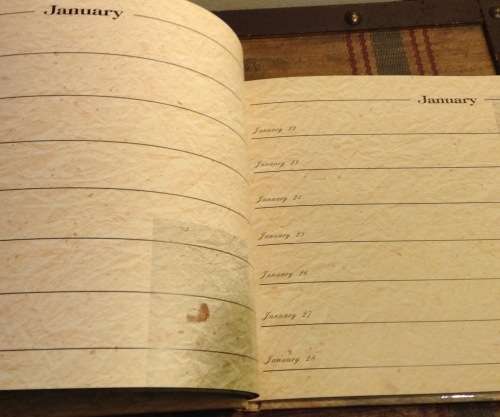 The African Collection, Eternal Diary