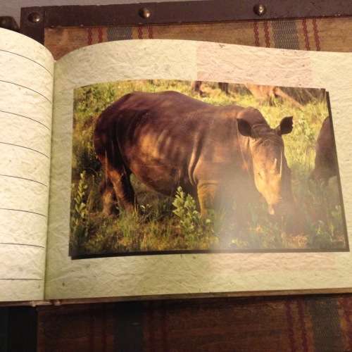 The African Collection, Eternal Diary