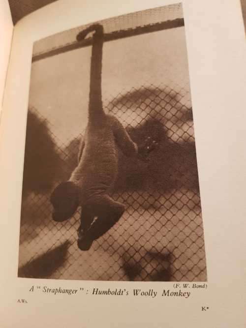 Philip Roth, First Edition, Patrimony, a true story