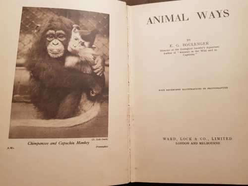 Animal Ways, First Edition, by E.G. Boulenger, 1953 First Edition