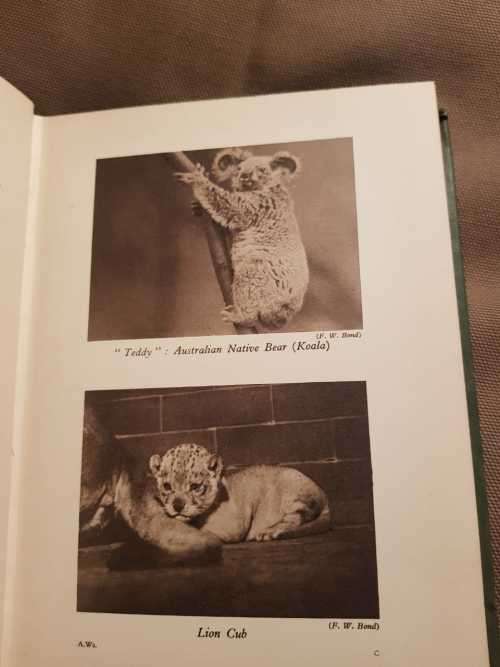 Animal Ways, First Edition, by E.G. Boulenger, 1953 First Edition