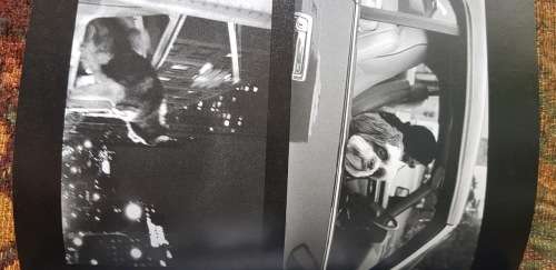 Drive by Shooting by David Bradford, First Edition