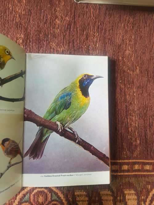 The Handbook of Foreign Birds, First Edition by A. Rutgers