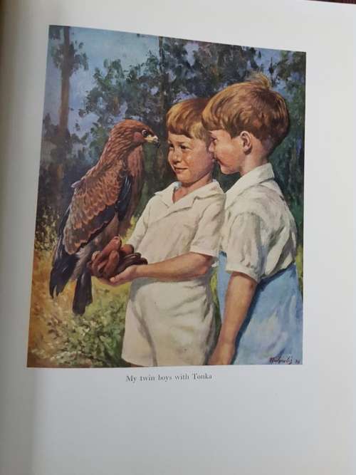 The Birds of the Gauntlet, First Edition 1952 by H. Von Michaëlis Book designed by Ken Williamson