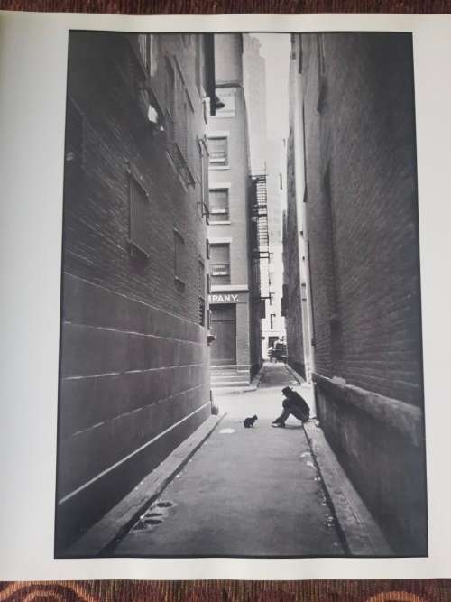 Henri Carter Besson, Photographer, First Edition