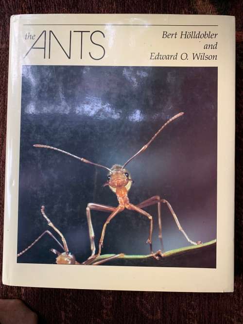 The Ants. First Edition by Bert Höldobler and Edward O. Wilson
