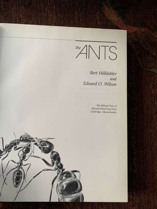 The Ants. First Edition by Bert Höldobler and Edward O. Wilson