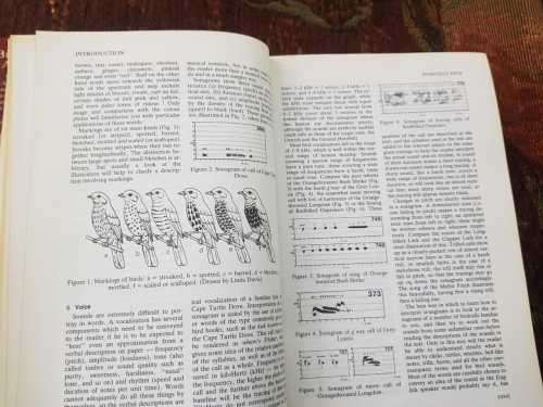 Roberts Birds of Southern Africa, by Gordon Linsay Maclean