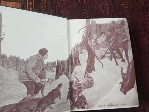 The Feet of the Furtive, First Edition by Charles G - D Roberts