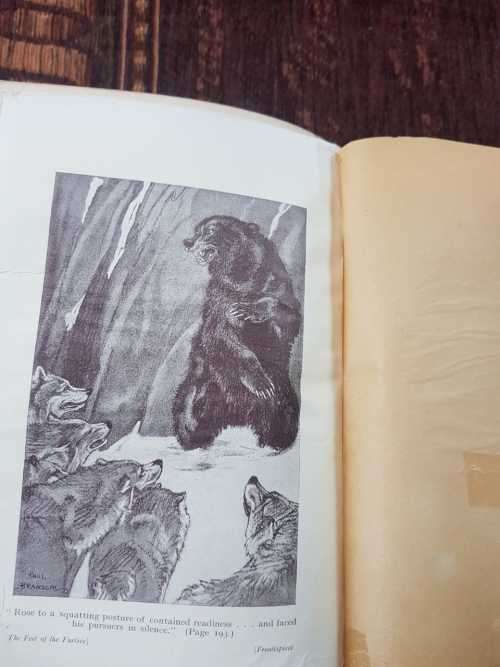 The Feet of the Furtive, First Edition by Charles G - D Roberts