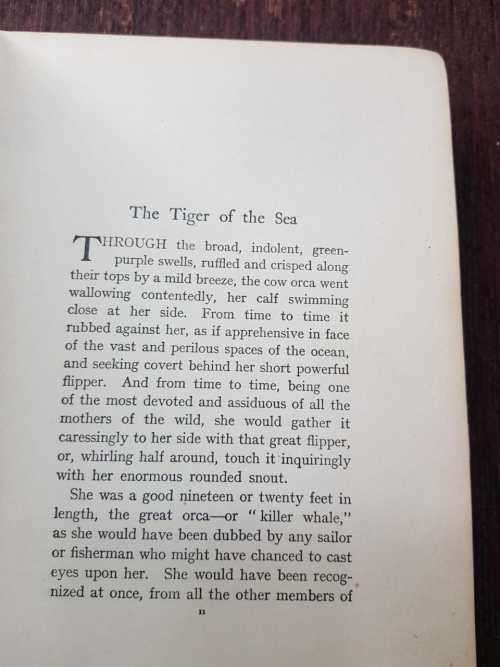 More Kindred of the Wild, First Edition by Charles G - D Roberts  Fully illustrated