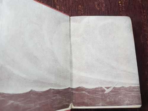 More Kindred of the Wild, First Edition by Charles G - D Roberts  Fully illustrated