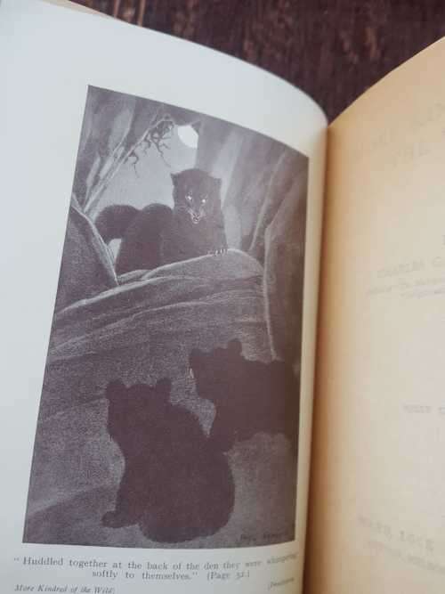 More Kindred of the Wild, First Edition by Charles G - D Roberts  Fully illustrated