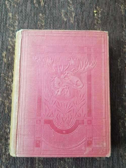 More Kindred of the Wild, First Edition by Charles G - D Roberts  Fully illustrated