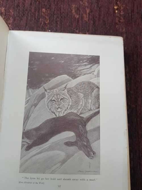 More Kindred of the Wild, First Edition by Charles G - D Roberts  Fully illustrated