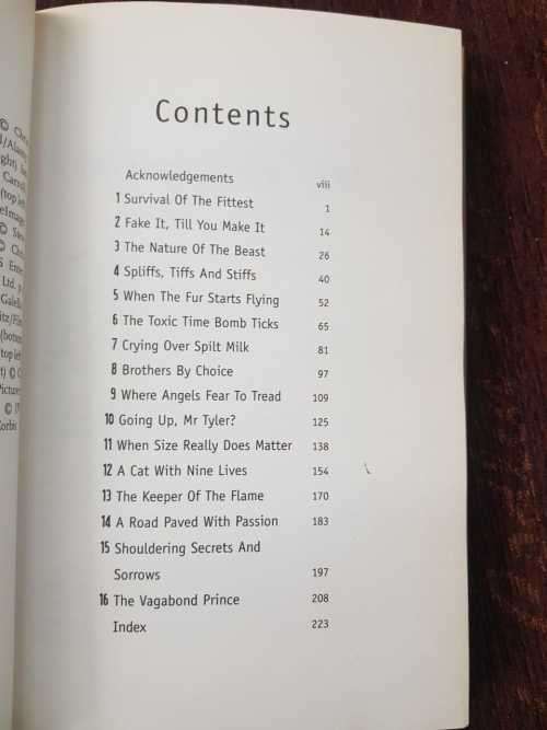 Steven Tyler, First Edition by Lauren Jackson.  The biography