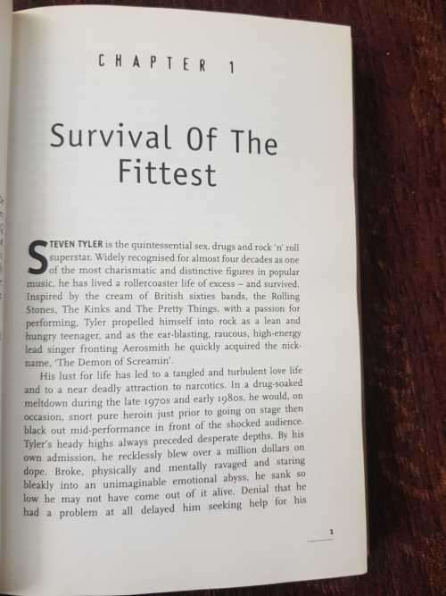 Steven Tyler, First Edition by Lauren Jackson.  The biography