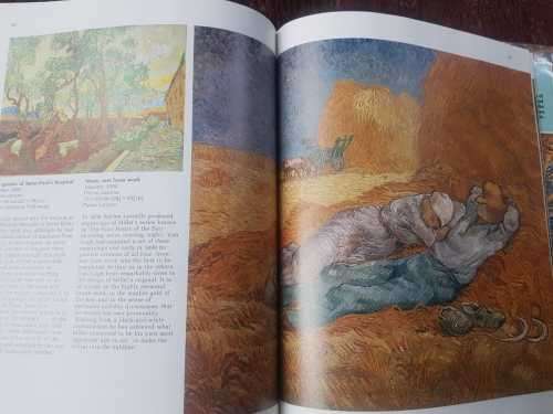 Van Gogh by Bernard Denvir