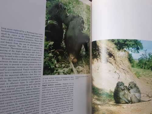 The Mating Game AND Jewel of the Kalahari - Okavango