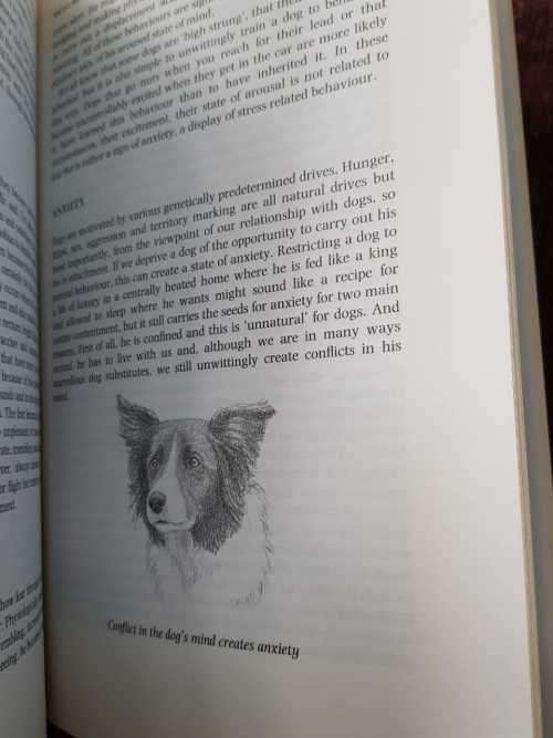 The Dogs Mind, First Edition by Bruce Fogle DOGS