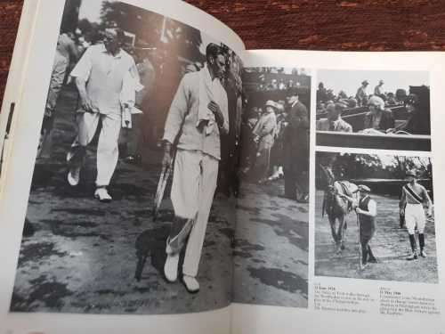Rugby What a Picture, Rugby First Edition Rugby