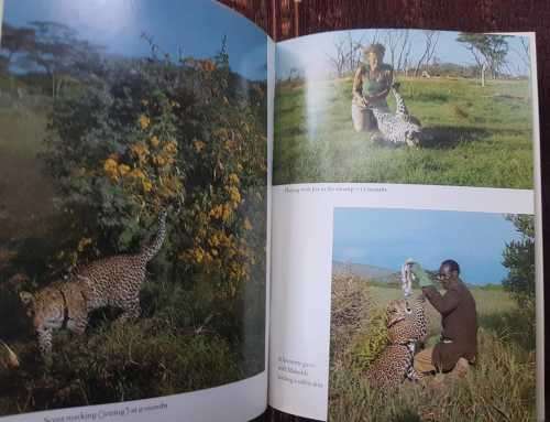Queen of Shaba AND South African Journey, First Editions