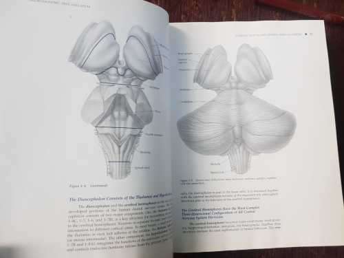 Neuroanatomy by John H. Martin Text and atlas