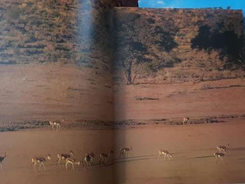 The Scenic Splendours of Southern Africa AND Blenheim Palace First Editions