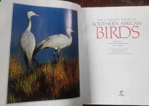 Birds Southern African Birds