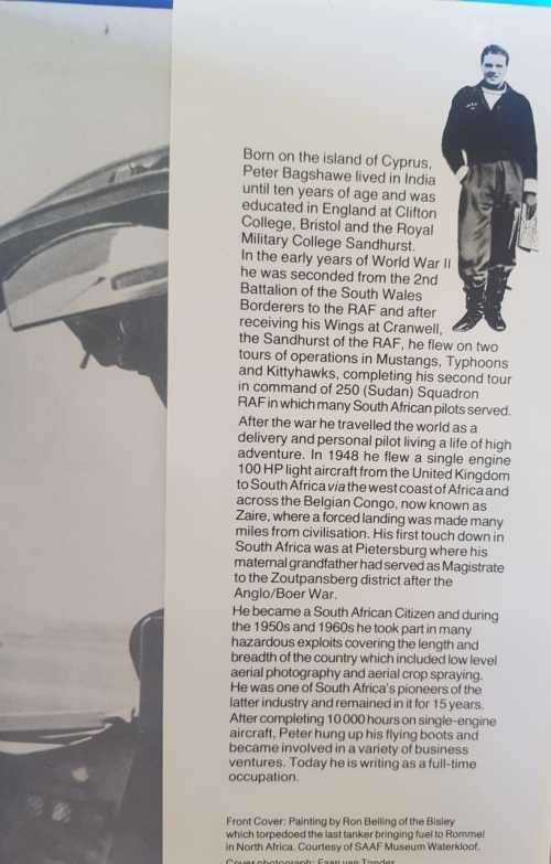 Warriors of the Sky First Edition by Peter Bagshawe Springbok air heroes in combat.