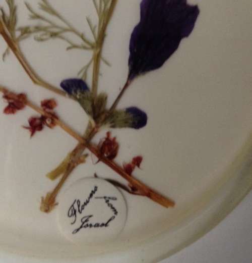 Vintage framed pressed flowers.