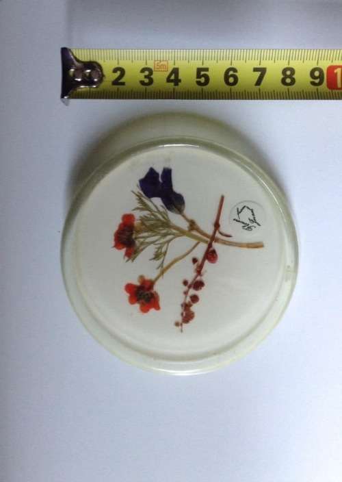 Vintage framed pressed flowers.