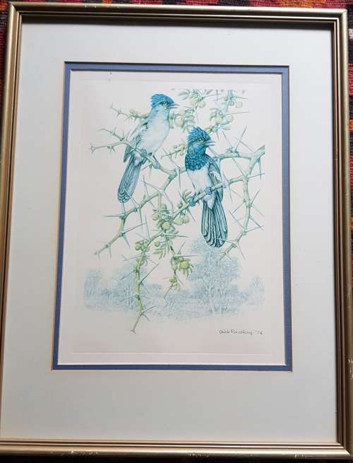 Dick Findlay Print 1974 original vintage folio print dated 1974 not a reproduction or modern copy.
