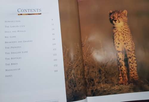 The ultimate wildlife of Southern Africa