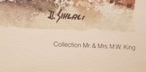 SUNNY DAY print signature reflecting Durant Basi Sihlali