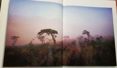 Signed First Edition Africana Elephants For Africa Rare