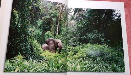 Signed First Edition Africana Elephants For Africa Rare