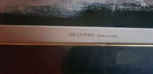 The Leopard SIGNED BY KEITH JOUBERT