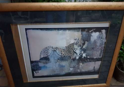 The Leopard SIGNED BY KEITH JOUBERT
