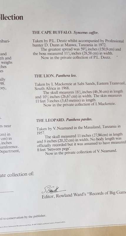 The Leopard SIGNED BY KEITH JOUBERT