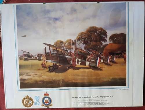 RAF BI PLANE PRINT