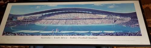 Springboks Litho Print Number 16 from 500 Springboks