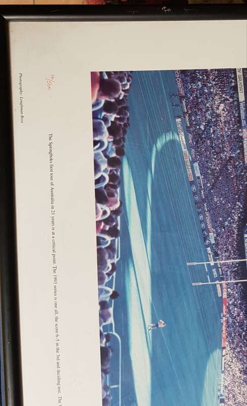 Springboks Litho Print Number 16 from 500 Springboks