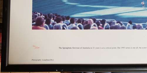 Springboks Litho Print Number 16 from 500 Springboks