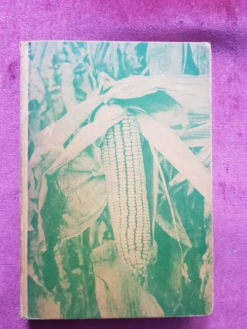 Quantitative Genetics in Maize Breeding